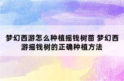 梦幻西游怎么种植摇钱树苗 梦幻西游摇钱树的正确种植方法